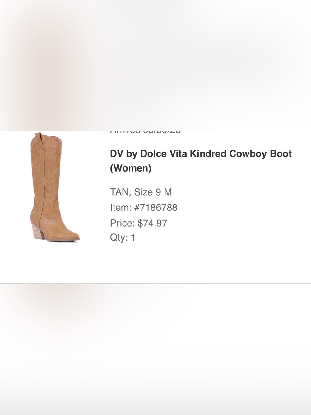 DV by Dolce Vita Tan Kindred Cowboy Boots (Women)